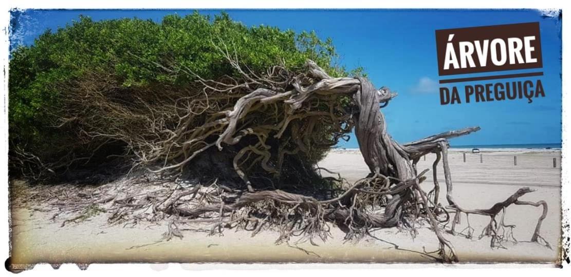 Casa A 3 Minutos Do Aeroporto De Jericoacoara Villa Eksteriør billede